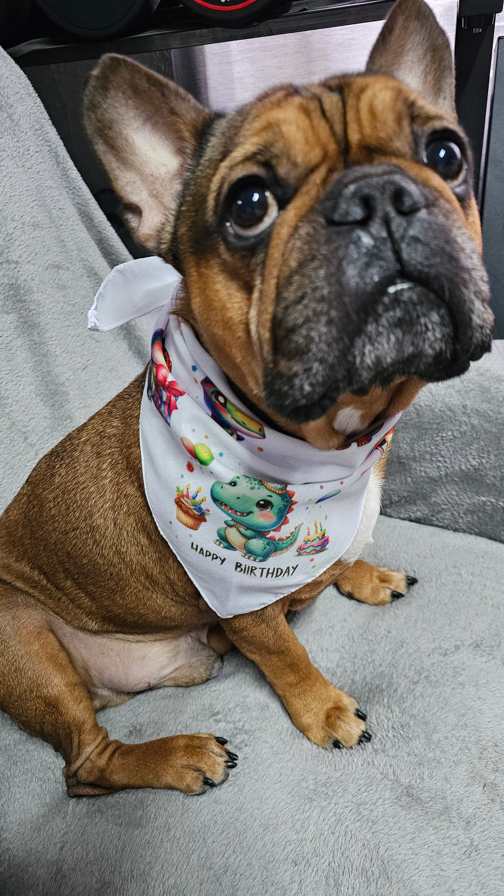 Pawty Halstuch