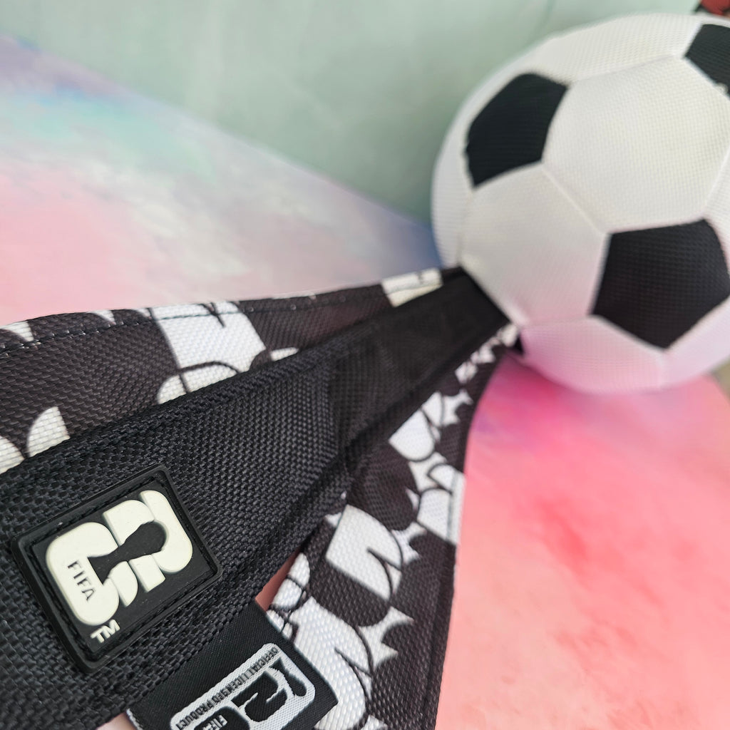 FIFA WM Flugball