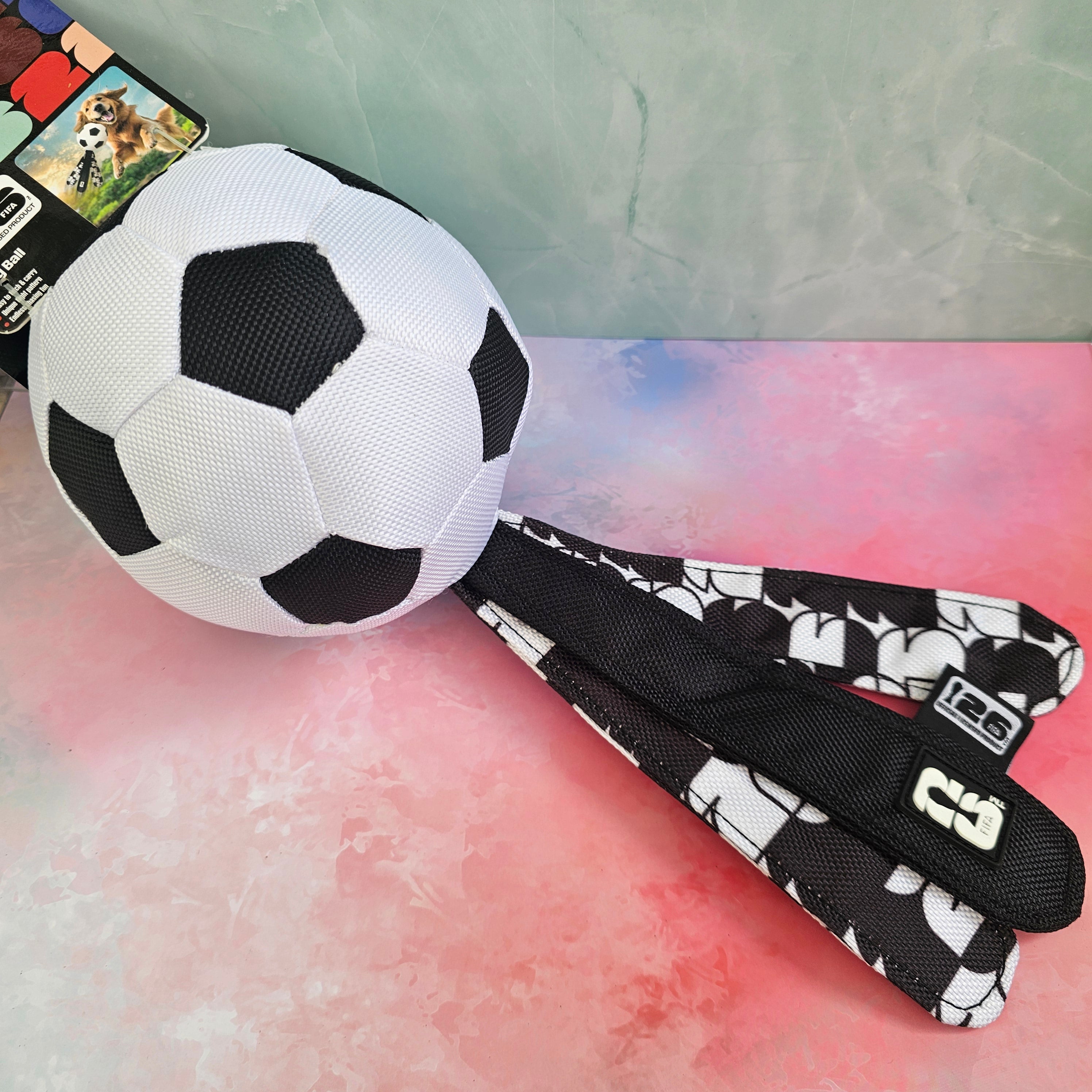 FIFA WM Flugball