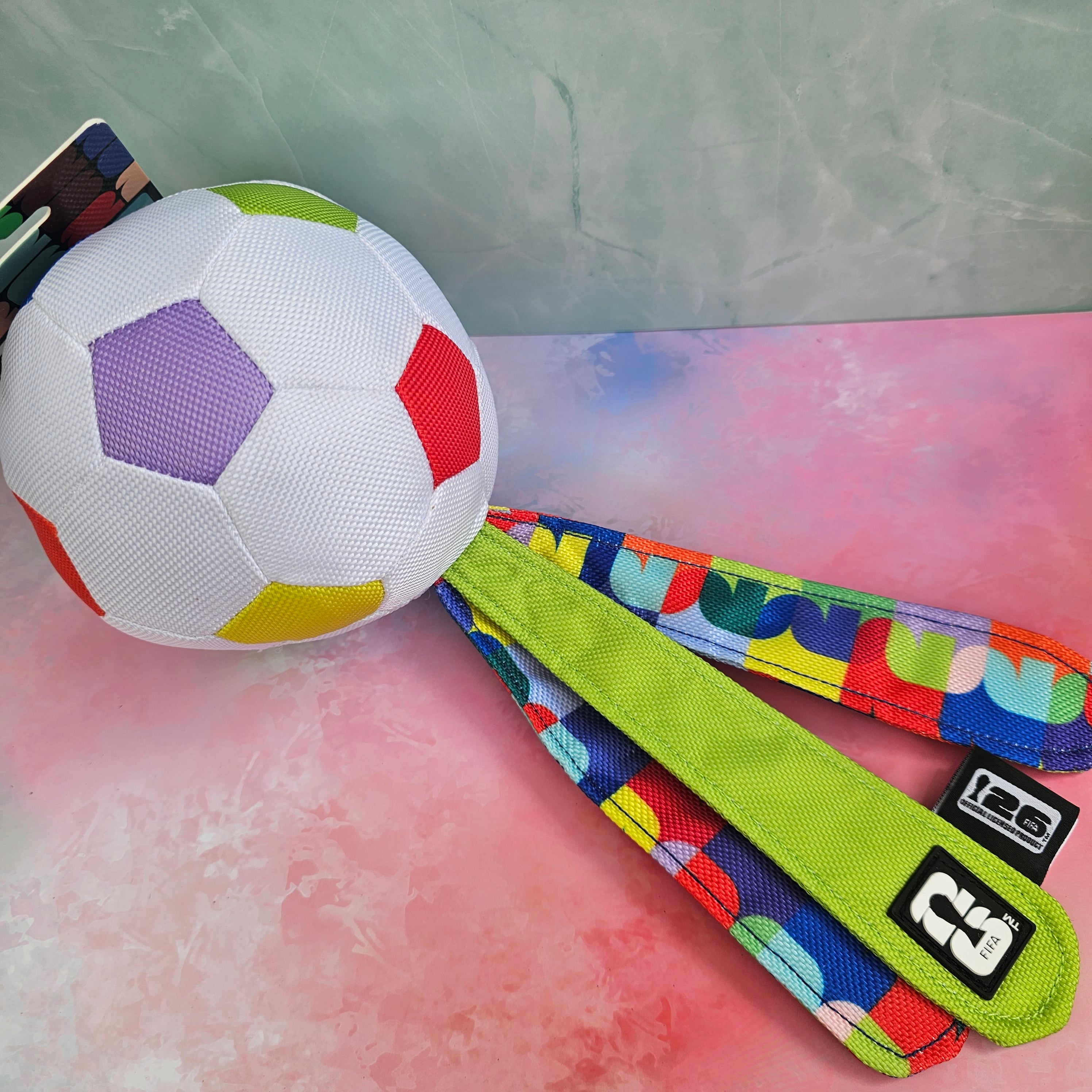 FIFA WM Flugball