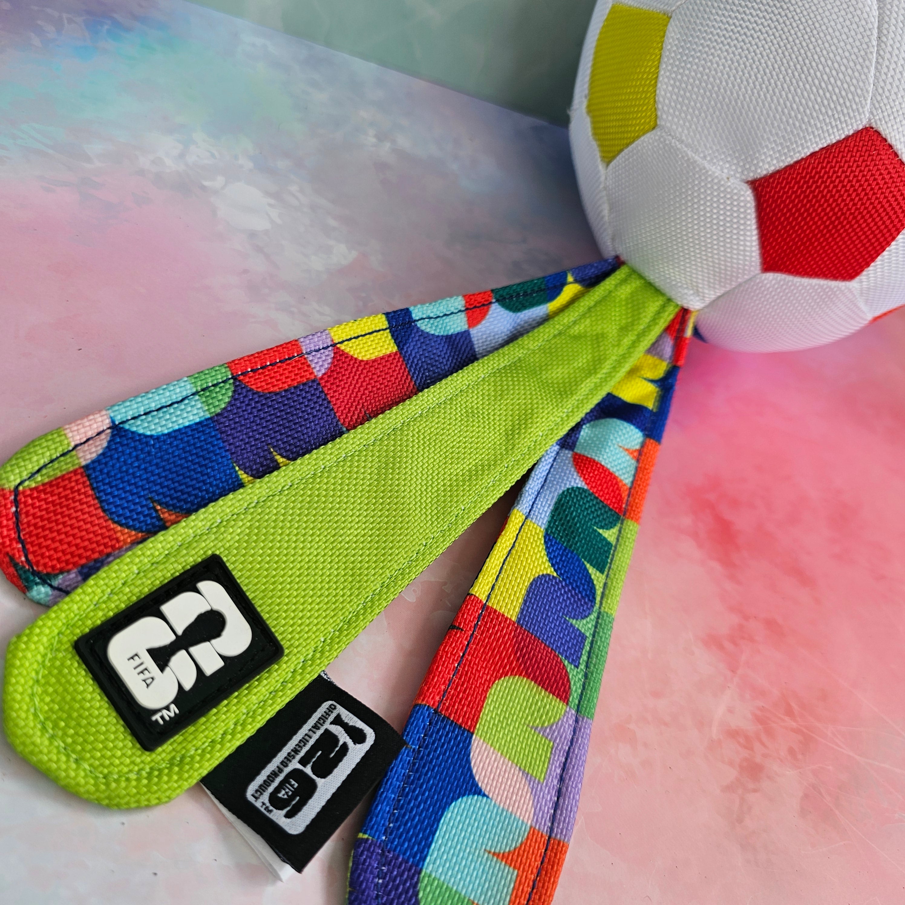 FIFA WM Flugball