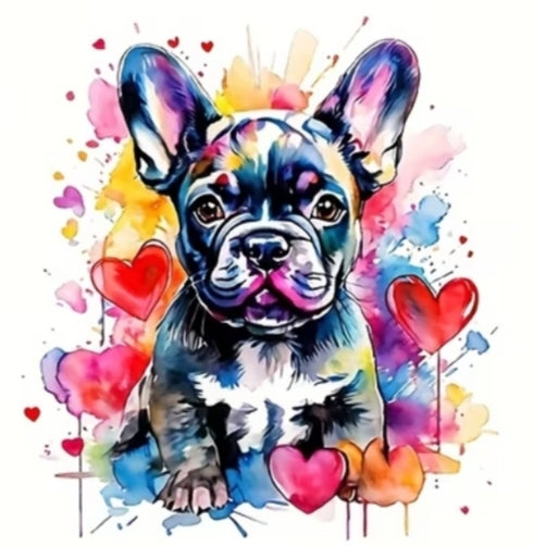 ⭐ T-Shirt Motiv frenchie