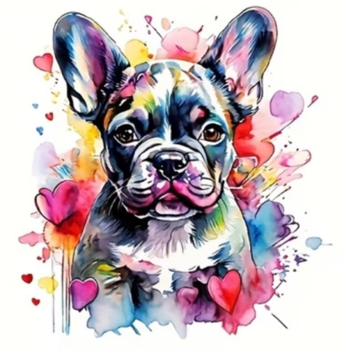 ⭐ T-Shirt Motiv frenchie