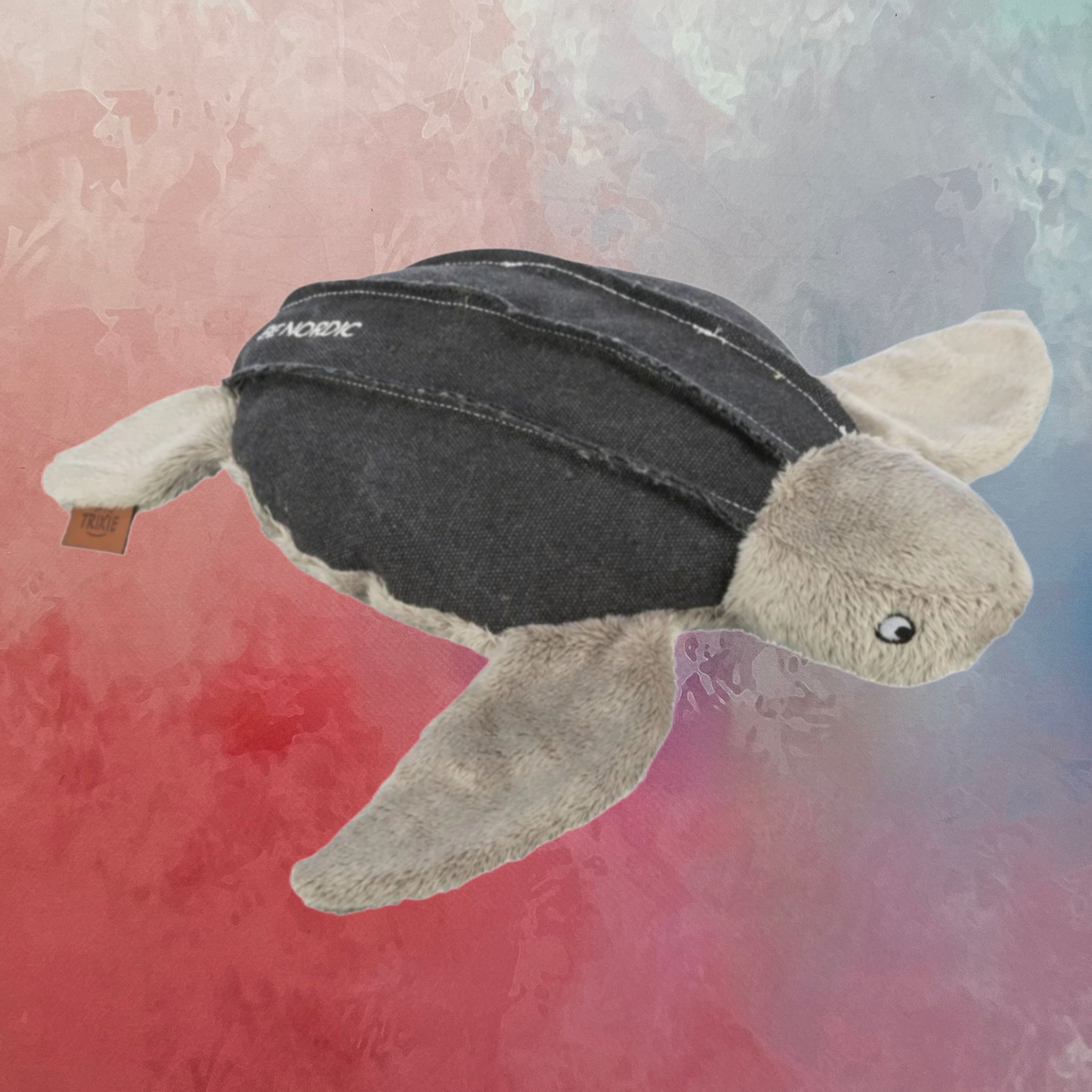 Schildkröte