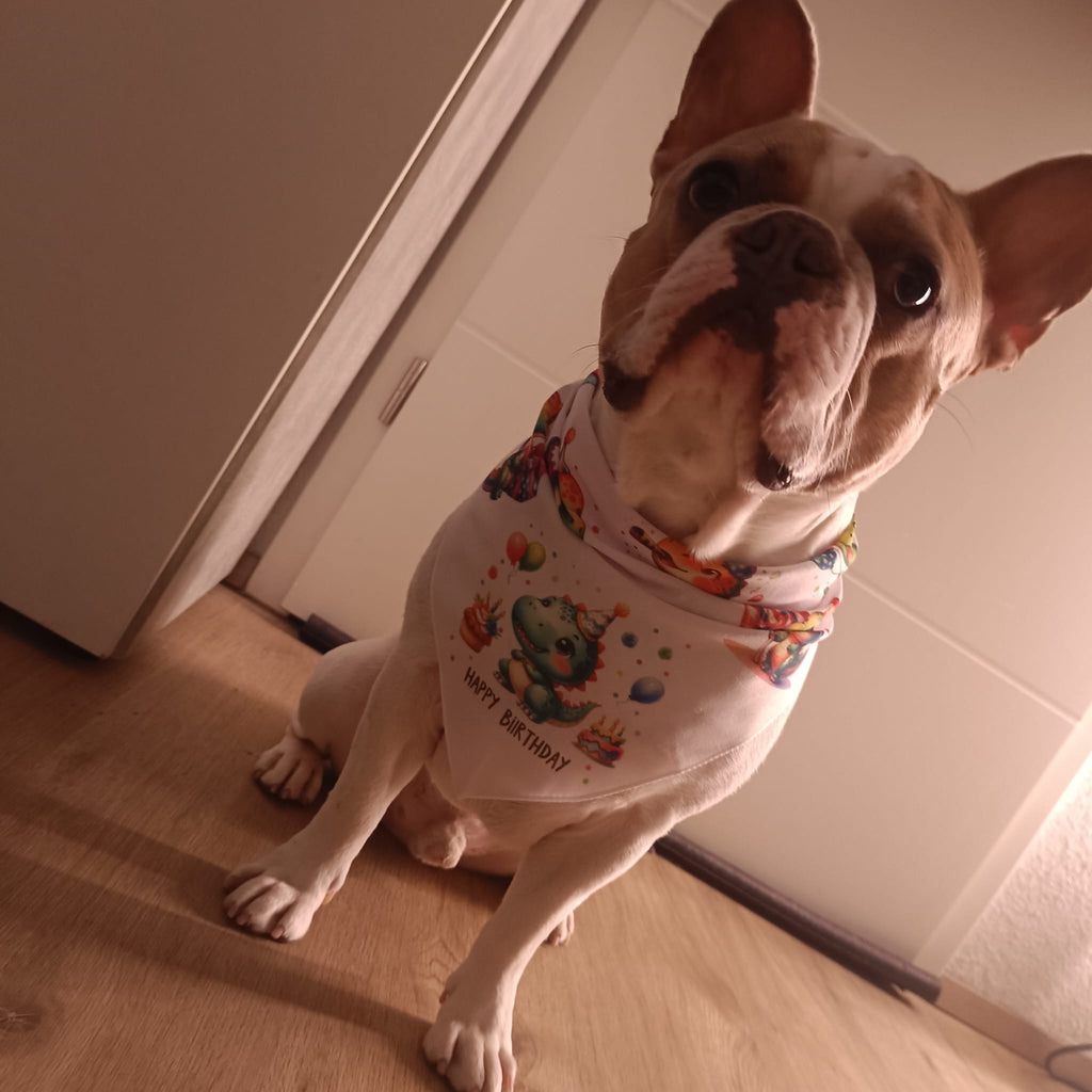 Pawty Halstuch